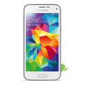 Samsung Galaxy S5 mini