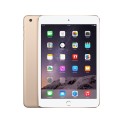 iPad Mini 3 Wifi